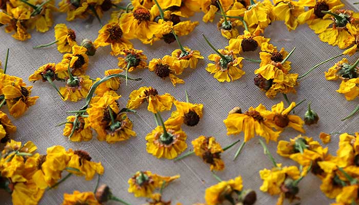 ѩ�յĹ�Ч������ ѩ��ͼƬ